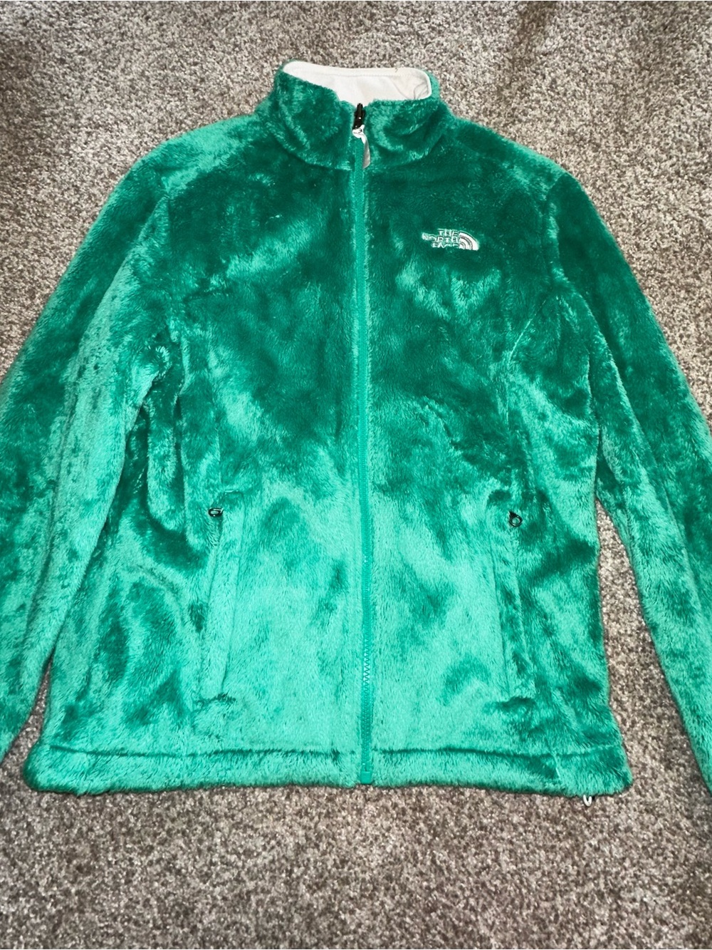 The North Face Plush Fleece Full Zip Jacket in Emerald Green